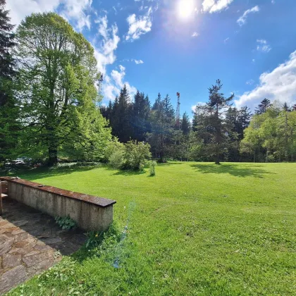 Ferienhaus Völlegg *Waldheimat Steiermark* jetzt buchen und Natur und Ruhe genießen! - Bild 2