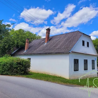 Burgenländischer Streckhof mit viel Potential - 1679 m² Grundstück BW in Kemeten! - Bild 2