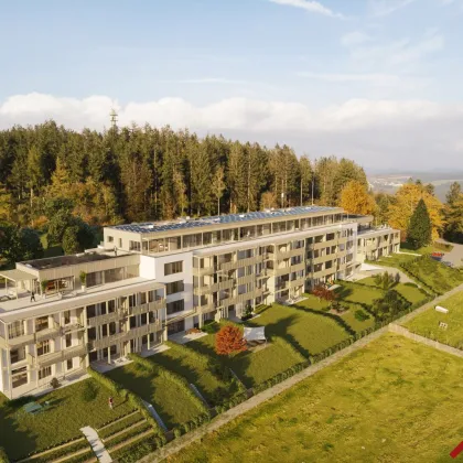 PANO_ Neues Wohnen am Land - Mietwohnungen in Kirchschlag bei Linz - Bild 2