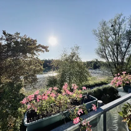 SEEN-Süchtig LEBEN! Nur 900 Meter zum UFER des BODENSEES - Bild 3