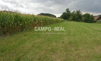 CAMPO-LANDWIRTSCHAFT: Hochwasserfrei - Pferdehof mit ca. 6 ha Grund samt Wohn- und Wirtschaftsgebäude