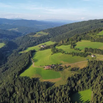 Sonnige Landwirtschaft in Aussichtslage - Bild 2