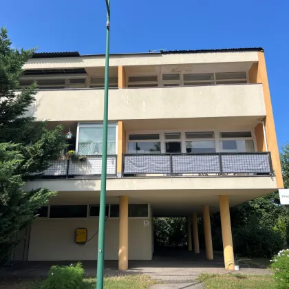 Charmante 3 Zimmer-Eigentumswohnung mit Loggia in Maria Enzersdorf - Bild 2