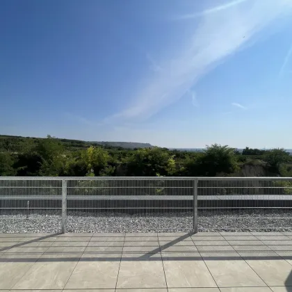 Danube Hills Perfekte Singlewohnung mit großer Terrasse - Bild 2