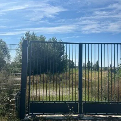 Einzigartige Gelegenheit im Bezirk Tulln (NÖ): Weitläufiges Naturparadies mit großem Landschaftsteich - Bild 2