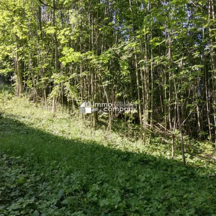 Ihr Grundstück in Hanglage mit absolutem Grünblick - Bild 3