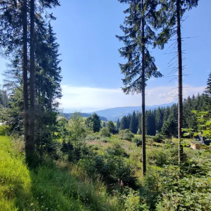 Traumhaftes Baugrundstück mit Fernblick in St. Anna am Lavantegg. - Bild 2