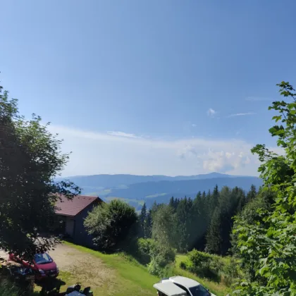 Traumhaftes Baugrundstück mit Fernblick in St. Anna am Lavantegg. - Bild 3