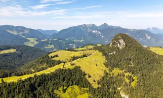 Almfläche mit Panoramablick im Pinzgau