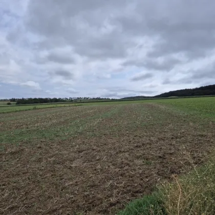 Aufgeschlossenes Baugrundstück in Ortsrandlage mit unverbautem Grünblick, Kauf oder Baurecht auf bis zu 99 Jahre möglich - Bild 2