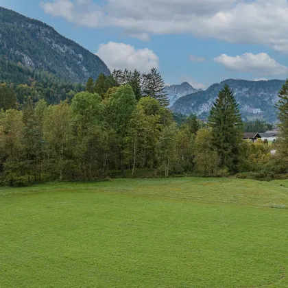 Unken: 1050 m2 Baugrundstück inmitten der Natur - Bild 3