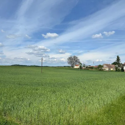 Großes Baugrundstück mit unverbautem Blick auf die Felder, ins Grüne und auf das Schloss Weyerburg - Nähe Hollabrunn - Bild 3