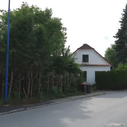 Grundstück mit Altbestand Nähe Therme Stegersbach - Bild 2