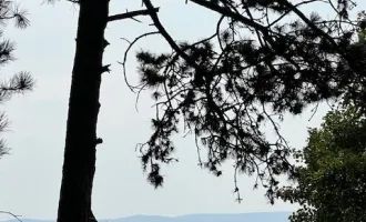 Bauland mit Weitblick! bis zu 2 Wohneinheiten möglich - ABSOLUTE RUHELAGE! - RESERVIERT!