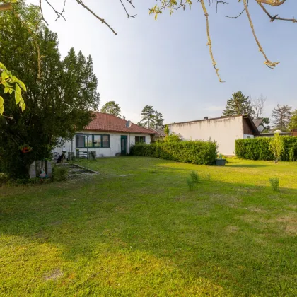 BUNGALOW MIT VIEL PLATZ FÜR IHRE IDEEN - Bild 2