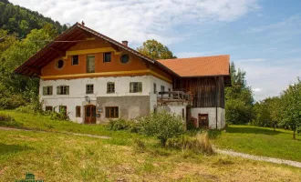 Bauernhof Gebiet Chiemsee - 10 Hektar, mit Vorkaufsrecht auf bewirtschaftete Alm mit über 100 ha.