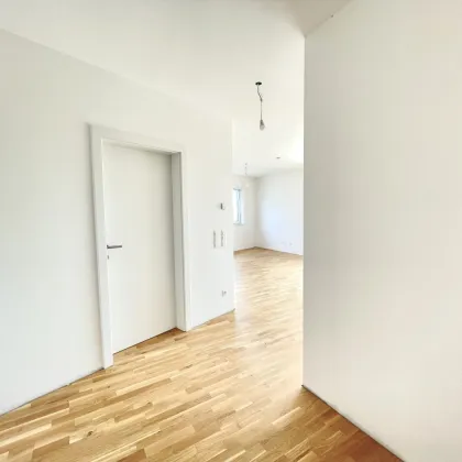 Provisionsfreie Terrassenwohnung in Marchtrenk - Anlegerpreis - Bild 2