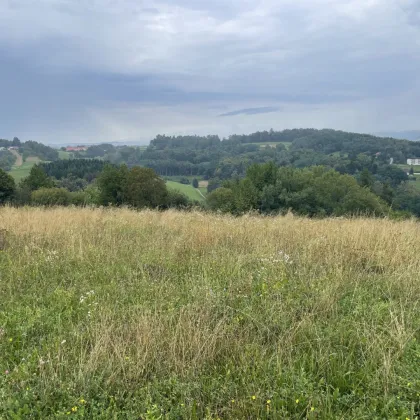 Grundstück in Burgenland mit Berg- und Fernblick - Bild 3