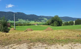 Wohnen am Guggenberg - Wir bauen für Sie - Doppelhaushälfte / Einfamilienhaus in ruhiger Sonnenlage!