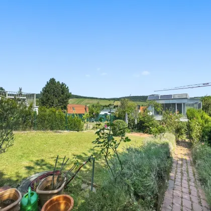 Traumhaftes Grundstück mit idyllischem Blick über Wiens Weinberge - Bild 2