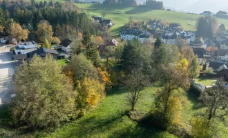 Großes Baugrundstück in schöner ruhiger Lage in Scheibbs!!