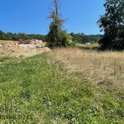 Baugrund in ruhiger neuer Siedlungslage in Scheibbs!! - Bild 3