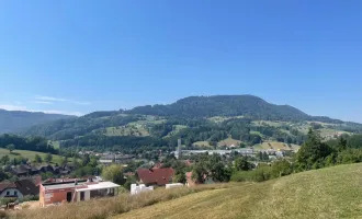 Traumhaftes Baugrundstück in Scheibbs - Schaffe dein eigenes Zuhause in Niederösterreich!