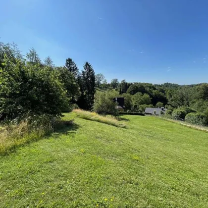 Haus+Grund: Hochwertiges Niedrigenergiehaus und Traumgrundstück unweit von Graz - Bild 2