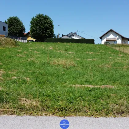 Südhang Grundstück mit Weitblick in Pichl bei Wels - Bild 3