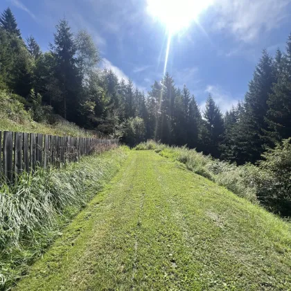 Ihr Rückzugsort im Grünen: Almhaus auf der Koralpe - Bild 3