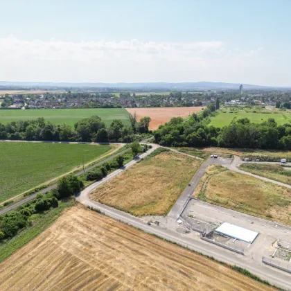 ** Betriebsbaugrund in perfekter Lage - Gewerbepark Nord Ebreichsdorf ** - Bild 2