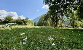 Berge als Zaungäste