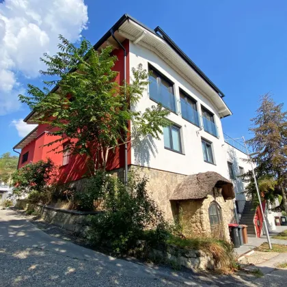 Mediterranes Flair beim Neusiedlersee: Dachterrassentraum mit Weinkeller - Bild 3