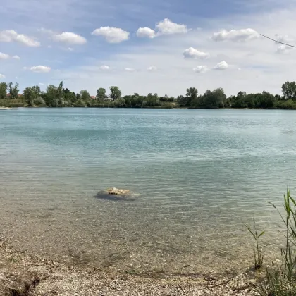 Badeteich Hirschstetten - U2 Hausfeldstraße in 5 Minuten - Provisionsfrei - Bild 3