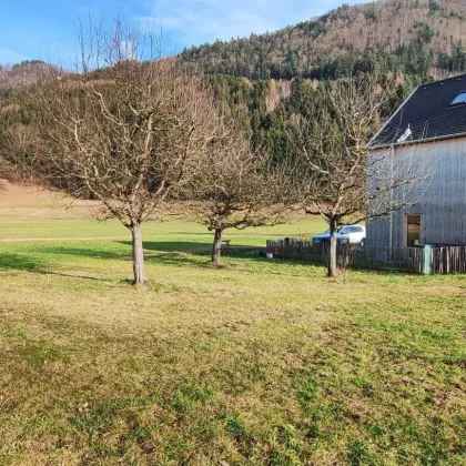 GÖFIS! TINYHOUSE, 4 Zimmer mit schönem Gartenanteil - Bild 2