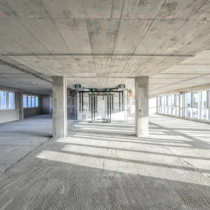 Erstbezug! Modernes Bürohaus in Wiener Neudorf - Bild 2