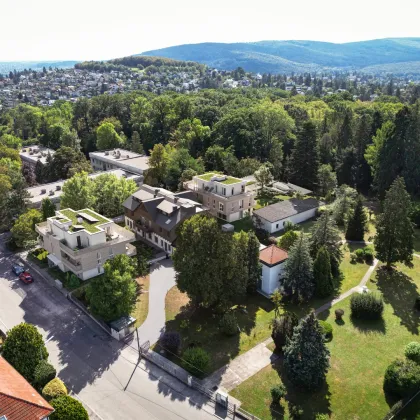 WaldWILLA - modernes Penthouse im Grünen - Bild 3