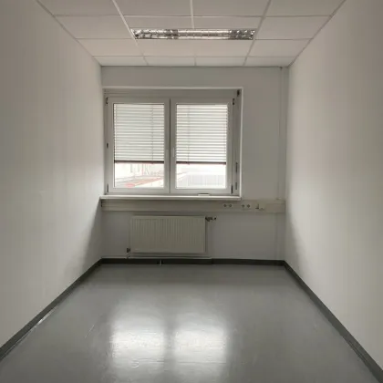 GTZ- Repräsentatives Büro mit Weitblick - Bild 3