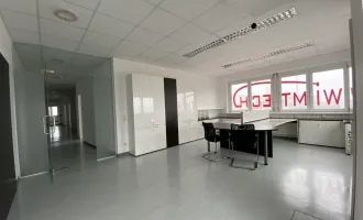 GTZ- Repräsentatives Büro mit Weitblick