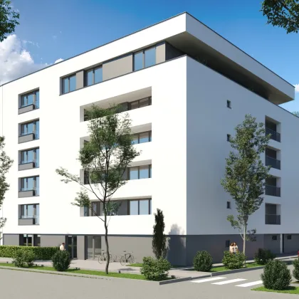 Moderne Praxisfläche in Wels - Erstbezug mit Top-Ausstattung und Tiefgarage - Ideal für Büro oder Praxis - Bild 2