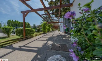 RESERVIERT++NEU in Wiener Neudorf++Südseitige Dachgeschosswohnung mit Loggia – Ihr sonniges Zuhause++Wohnen im Grünen – Ideal für junge Familien und Paare++