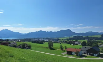 Unternehmen zur Betriebsansiedelung im Mondseeland gesucht!