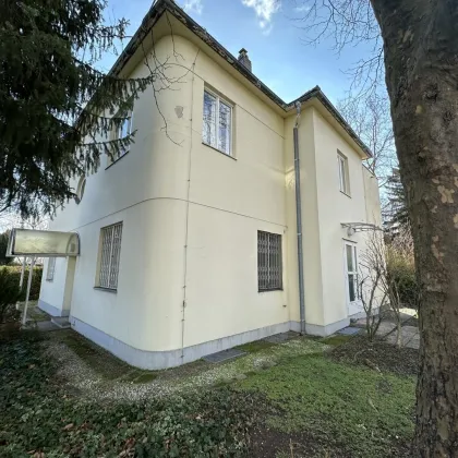 MEHRFAMILIENVILLA IN BESTLAGE BEIM ROTEN BERG - Bild 3