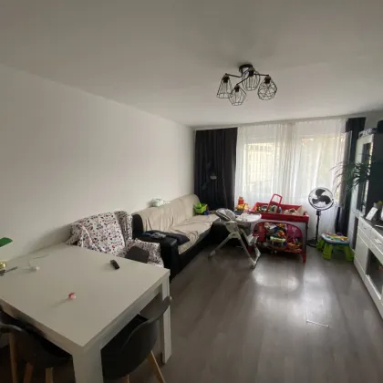 Gepflegte 3 Zimmer Wohnung mit Lift und Blick über den Park - Bild 2