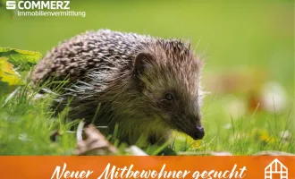 Gartenwohnung zum Wohlfühlen