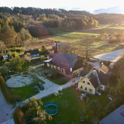 Bauernhof mit Kärntner Landhaus, Stallungen und Koppeln mit Wörtherseeblick - Bild 3