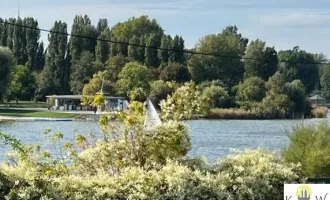 HERRLICHER BLICK AUF DIE ALTE DONAU