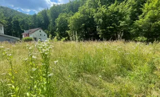 Krems liegt nah mit seiner Fülle, doch lebe Du in Grünidylle!