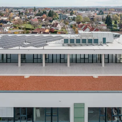 Großräumige Gewerbe - und Büroflächen in Leibnitz mit Dachterrasse! Ab 68m² anmietbar! - Bild 2