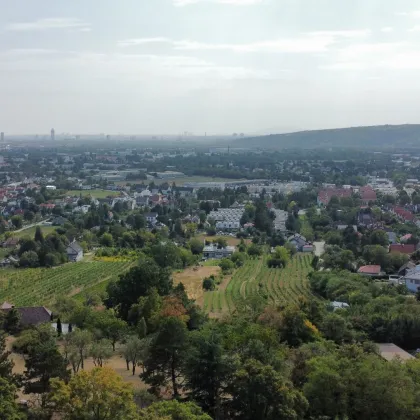 Perfekter Eigengrund für ein absolutes Traumhäuschen! Zurückziehen und Wohlfühlen an der Wiener Stadtgrenze! - Bild 2